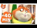 44 Cats | 40 MINUTES of pawesome moments | Season 2 | Compilation 2