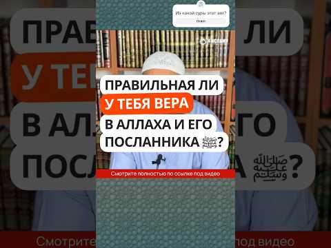 27.1 Правильная ли у тебя вера в Аллаха и Его посланника ﷺ? Как избежать раскола среди мусульман?