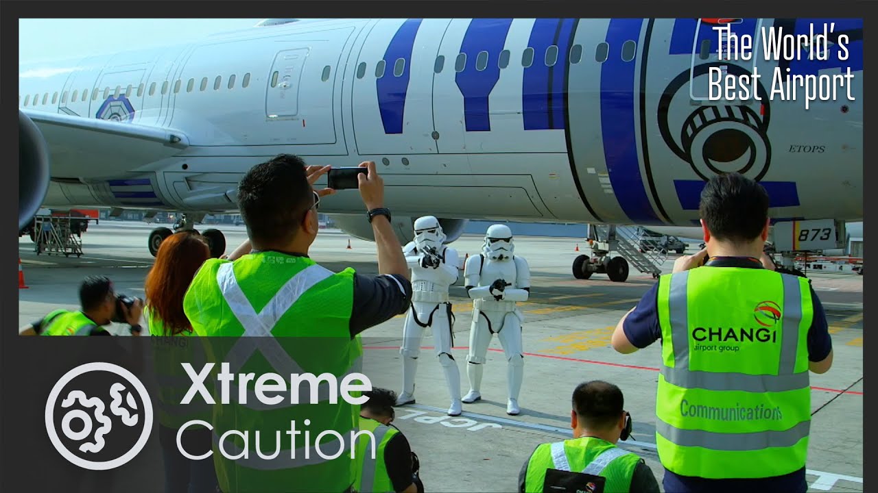 Film backdrop image for Peak Season | The World's Best Airport 4/4 (2025)