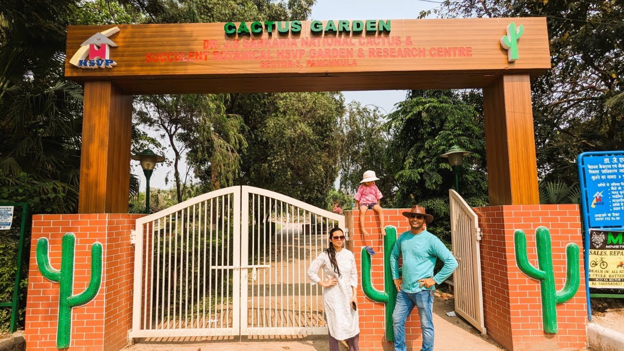 CACTUS GARDEN PANCHKULA Varities of Cactus YouTube