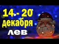 ЛЕВ 💚 неделя с 14 по 20 декабря. Таро прогноз гороскоп