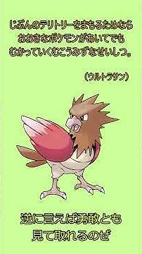 オニスズメ Youtube