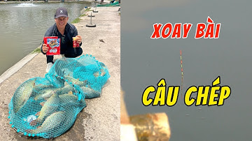 Buổi câu cá chép bất ổn ở Hải Phòng | Chung Nguyen Fishing