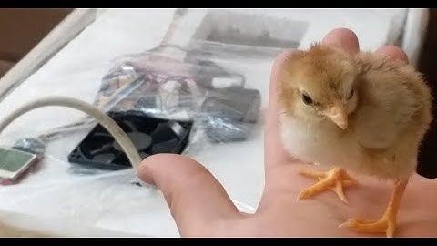 Kuluçka Makinesi Yapımı (Arduino ile)