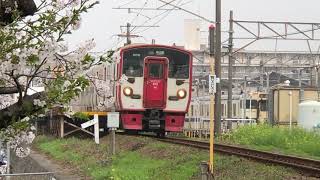 日豊本線牧駅桜と815系普通列車