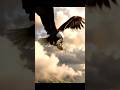 The Eagle’s Secret Drop | The Bundle of Diamonds | Mysterology