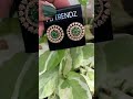Https Www Facebook Com Profile Php Id 100095614419788 Https Www Facebook Com Profile Php Id 100095614419788