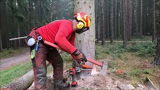 Work in the forest with STIHL MS 500i, STIHL MS 261 CM VW and felling wedge TR30AQ  02/23