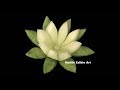 Cucumber Lily Flower Design | Beginners Lesson 24 | Mutita Art Of Fruit & Vegetable Carving