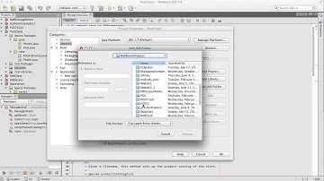 Netbeans RMI for code potato Store/Client project