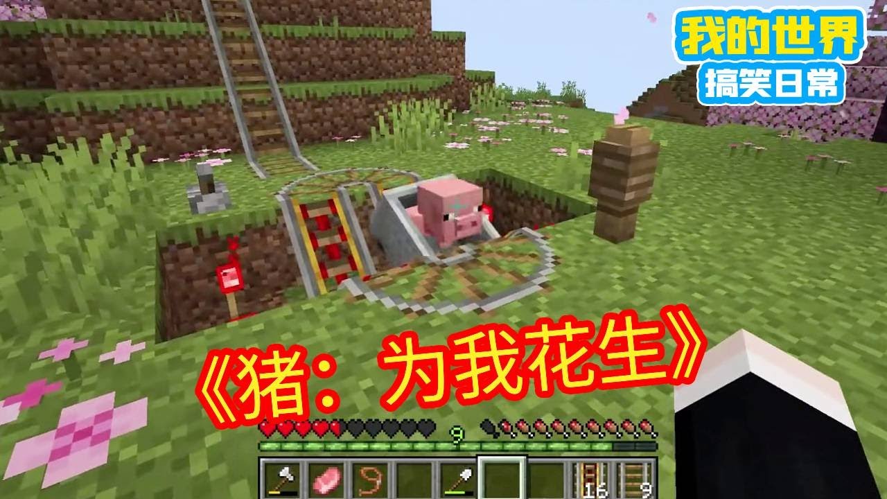 Minecraft:猪:兄弟们儿~喂我花生!【方块轩】 - YouTube