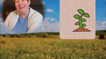 Finding Hope in Uncertain Times | Advent Week Two Meditation | Episcopal – Trinity Bridgewater