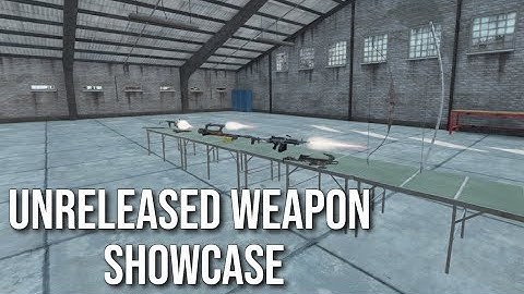 All Unreleased Guns Of DayZ Showcase! 1.19?