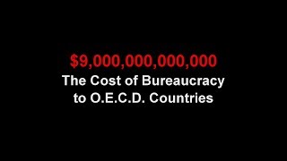 The Cost of "Bureausclerosis"
