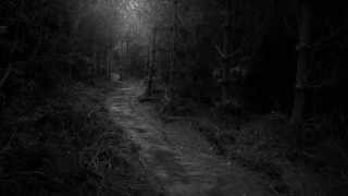 Forest Of Shadows - November Dream   |  Funeral Doom