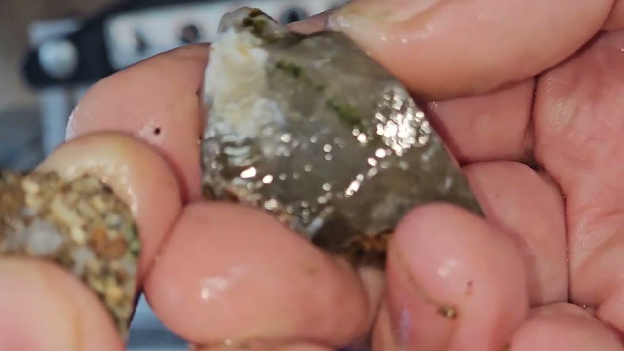 Lets see if we can't cut this out.