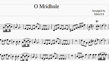 ഓ മൃദുലേ... Easy Western Notes with Letters For the Violin, Keyboard, Guitar etc. by Violinist Sibin