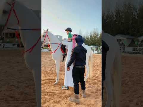 اصغر فارس سعودي