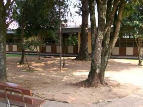 Recepção Alunos Ivo 2013