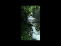 Waterfall Sounds for Deep Sleep 🌊 Som de Cachoeira para Dormir