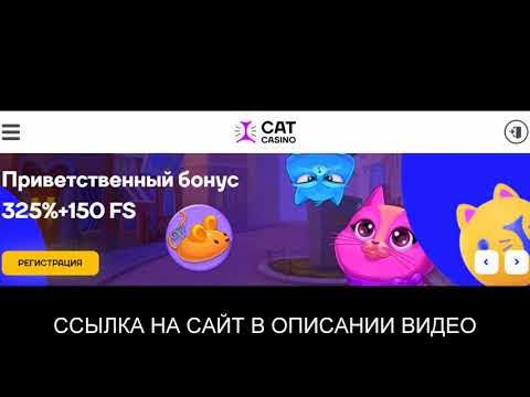 Сайт cat casino cat play pp ru. Cat Casino регистрация. Супер Кэт казино регистрация. Промокод Кэт казино.