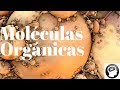 CALORIAS, CARBOHIDRATOS Y PROTEINAS. - YouTube