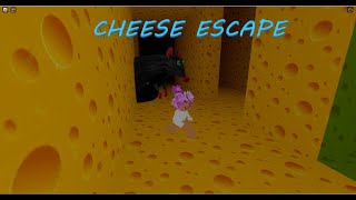 Кисара играет в Cheese Escape