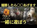 【生放送】GWはこれで遊ぼう！視聴者参加型のウルフゲームで優勝目指します！
