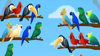 इसने तो दिमाग का दही बना दिया 🤔 | Bird Puzzle | पक्षी रंग क्रमबद्ध | screenshot 4