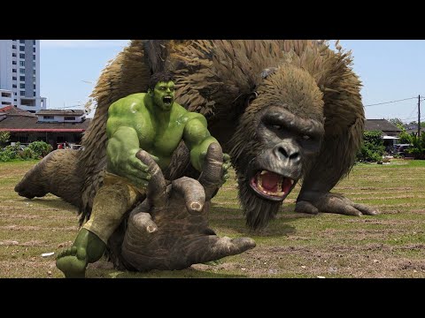 The Hulk VS King Kong in life action