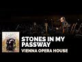 Miniature de la vidéo de la chanson Stones In My Passway