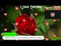 MUSIC LIVE STREAM WITH YTBARKADA'S