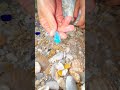 Gem stones from the canyon #outdoors。 diamonds and gold