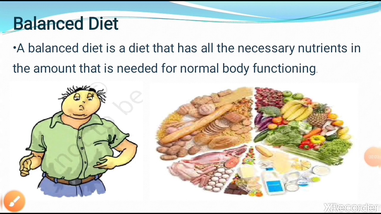 Class 6 Components Of Food YouTube class-6-components-of-food-youtube