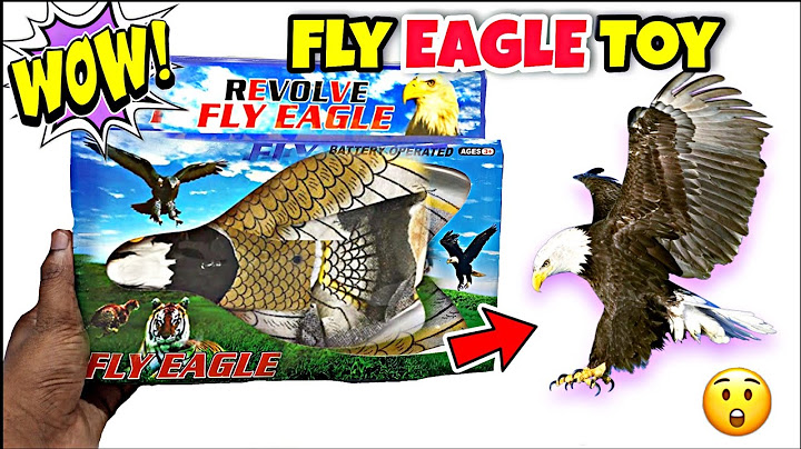 Electronic Flying Eagle Toy | Flying Sling Hovering Birds Toy | FunBox100