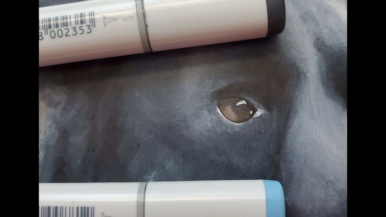 Drawing a Dog with Copic Markers - YouTube