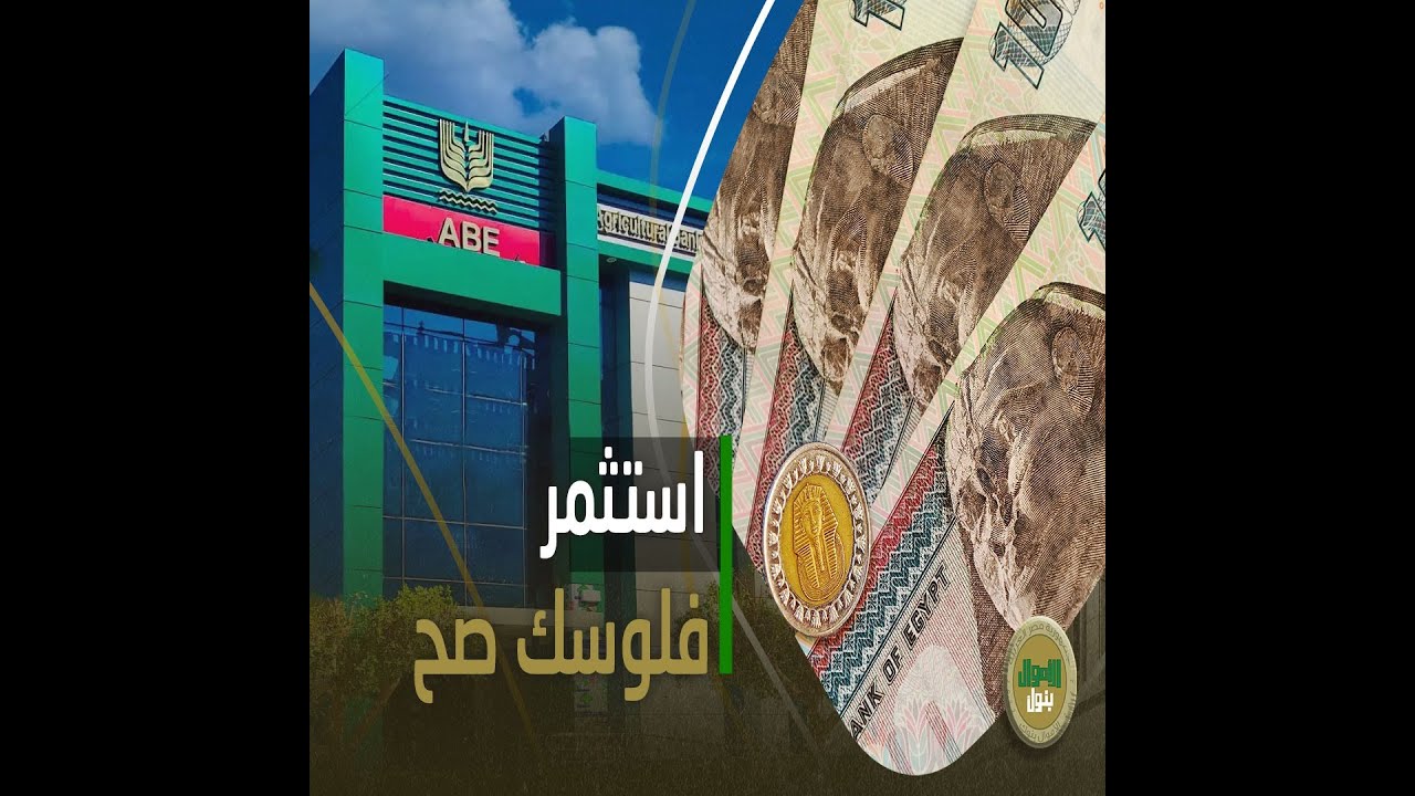 إزاي تستفيد من فلوسك؟ أفضل 3 طرق لاستثمار 500 ألف جنيه في البنك الزراعي! أفضلهم شهادة الحصاد