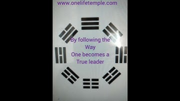 Following....SUI....I Ching Hexagram 17