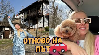 СПАХМЕ В МУЗЕЙ 🙈 | Hell's Kitchen на живо 🧑🏻‍🍳