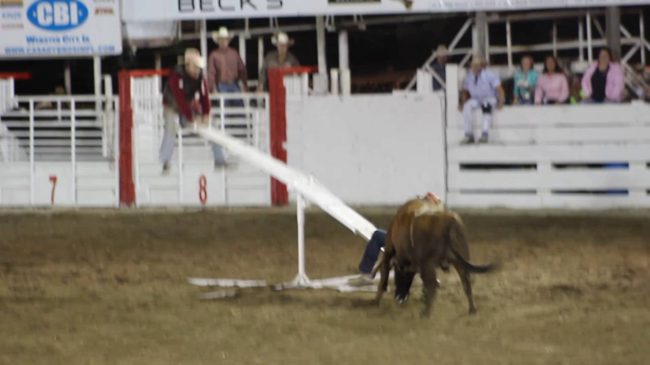 Bull Teeter Totter / 9.3.16 YouTube