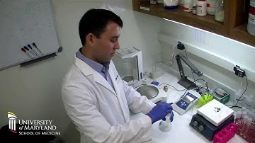 Investigating the Coronavirus and the threat of SARS