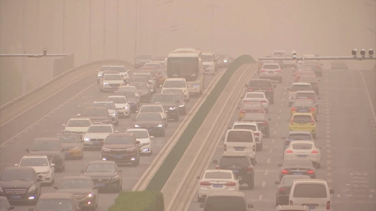 Can Air Pollution Affect Your Mental Health? Scientists Think So