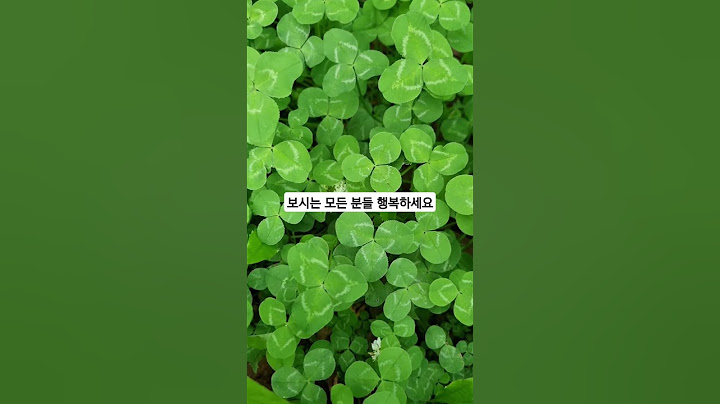 나그대에게모두드리리#임영웅님#토끼풀(클로버)