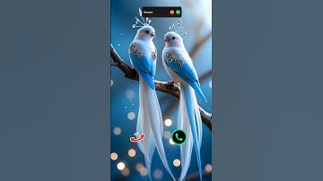 #call #iphone #ringtone #smartphone #ringtones #tech #innovation #iphone15 #mobiletech
