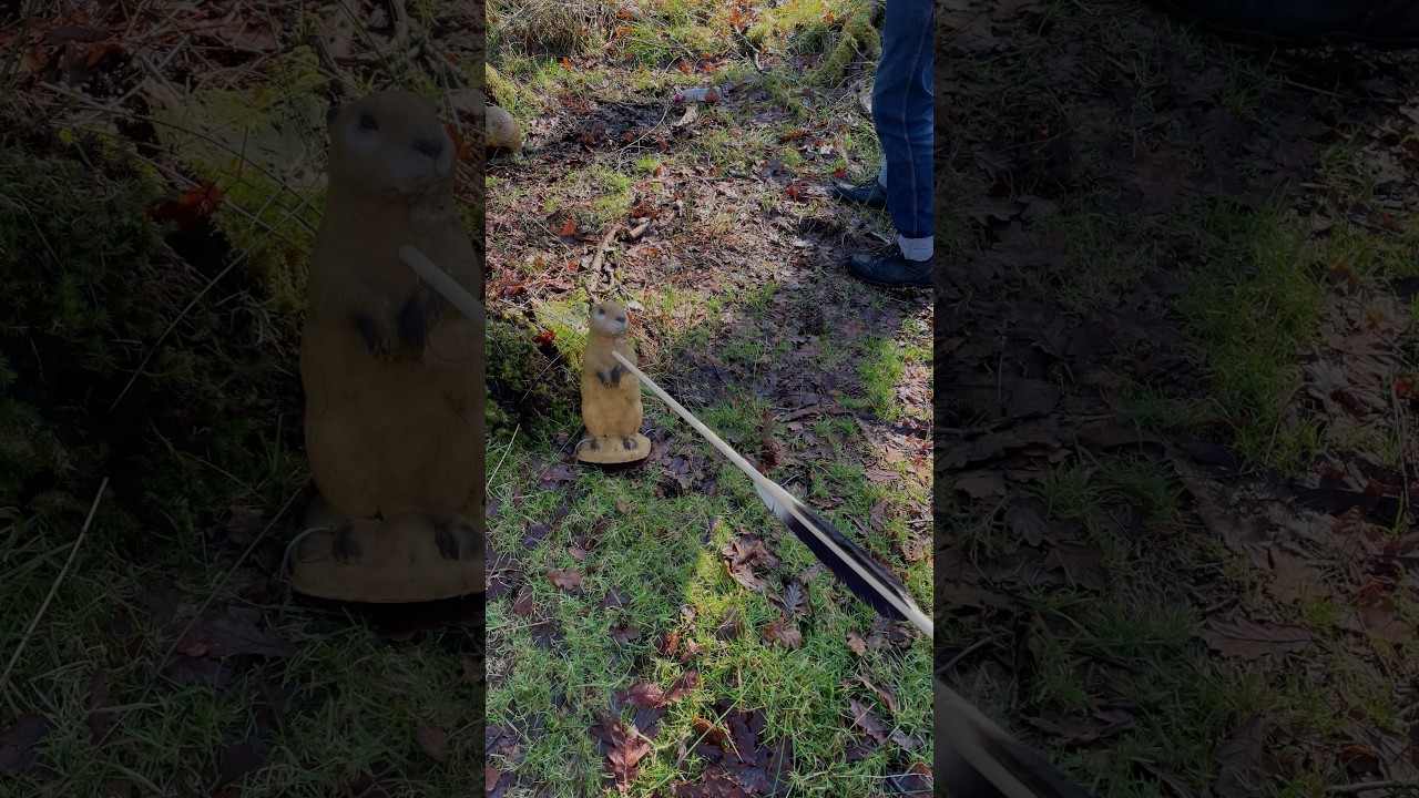 Mason obliterates a little gopher with Manchu arrow 