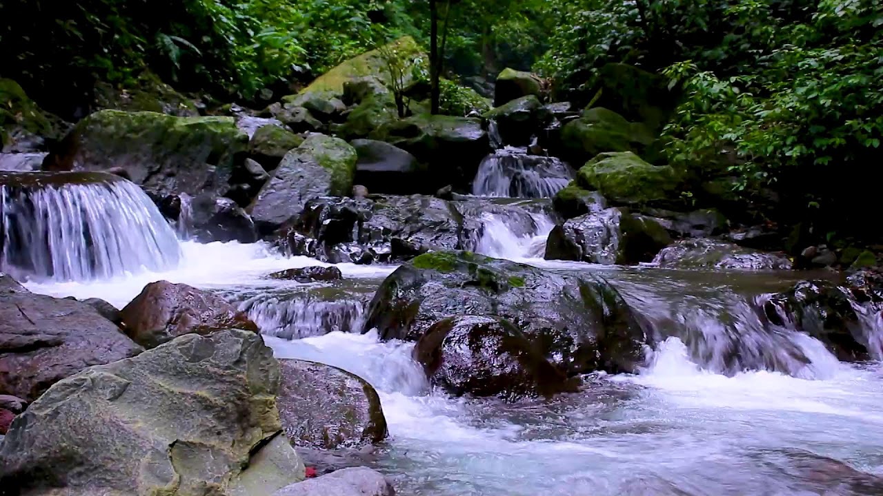 Gentle River Current at Night | Deep Sleep Soothing Water for Stress Relief