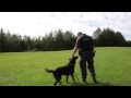 Our k9 unit  greater sudbury police service