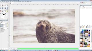 How to Make a Nose Look Bigger in GIMP