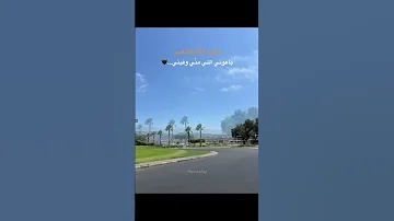 بتهون ياقلوب اغنية الشامي بتهون حالات واتس اب ستوريات انستا 