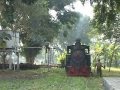 Steam of Jawa(Cepu Forest Railway) Indonesia(Jul.2007) 1 ジャワ（チェプ森林鉄道）の蒸気機関車（2007年７月）1